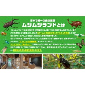 ふるさと納税 生き物 福島県 田村市 次回発送...の詳細画像4