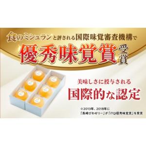 ふるさと納税 菓子 ゼリー 長崎県 諫早市 長...の詳細画像2