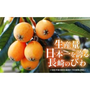 ふるさと納税 菓子 ゼリー 長崎県 諫早市 長...の詳細画像3