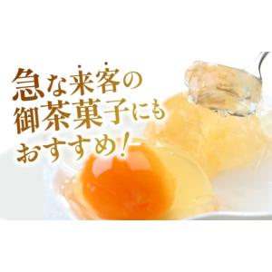 ふるさと納税 菓子 ゼリー 長崎県 諫早市 長...の詳細画像4