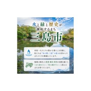 ふるさと納税 野菜類 静岡県 三島市 満天 青...の詳細画像4