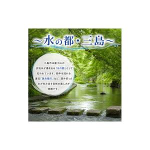 ふるさと納税 野菜類 静岡県 三島市 満天 青...の詳細画像5