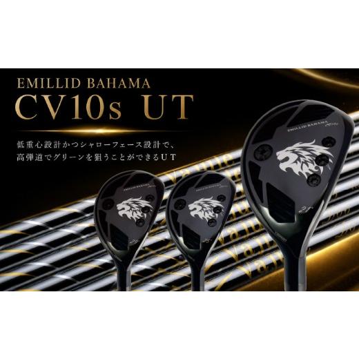 ふるさと納税 ゴルフグッズ クラブ 愛媛県 松山市 CV10s UT EMILLID BAHAMA ...