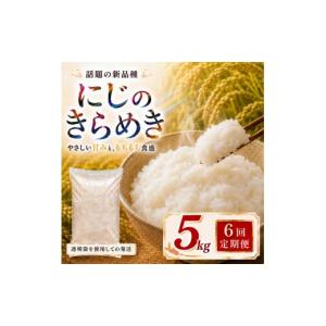 ふるさと納税 米 宮城県 大河原町 にじのきらめき 定期便 6回／5kg×1袋 令和8年産 新米 ブランド米 白米 精米 小分け 宮城県大河原町産 5kg 1袋 6回