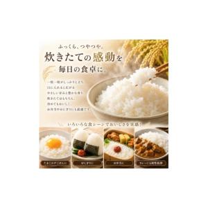 ふるさと納税 米 宮城県 大河原町 にじのきら...の詳細画像4