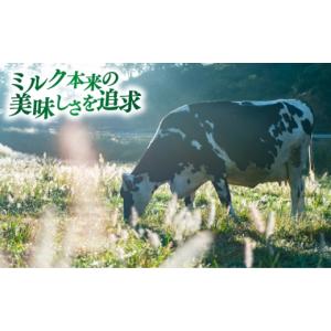 ふるさと納税 菓子 アイス 島根県 雲南市 全...の詳細画像5