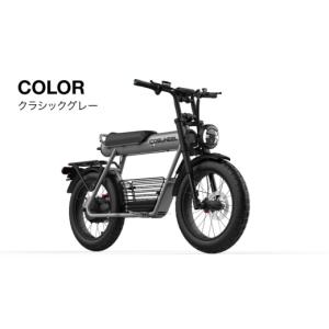 ふるさと納税 自転車 電動アシスト自転車 岐阜...の詳細画像5
