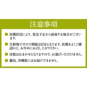 ふるさと納税 ぶどう マスカット 茨城県 城里...の詳細画像3