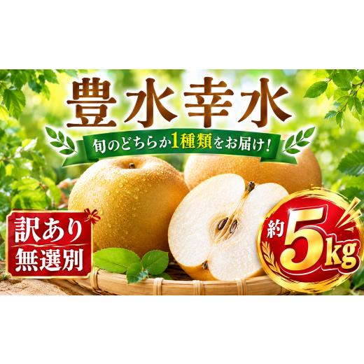 ふるさと納税 梨 千葉県 香取市 梨 豊水 幸水 約5kg 順次発送中 なし ナシ ほうすい ホウス...