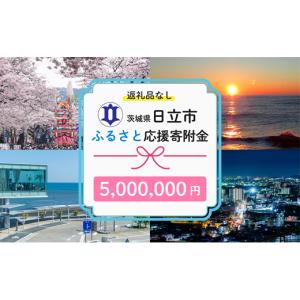 ふるさと納税 感謝状等 茨城県 日立市 返礼品なし 　寄附のみ　あなたの応援が、日立市の未来になる　技術が未来をつくるまち、日立市ふるさと応援応援寄附金…
