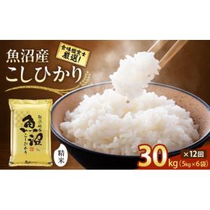ふるさと納税 米 コシヒカリ 新潟県 十日町市 令和8年産 先行予約 「12カ月定期便」食味鑑定士厳選 魚沼産こしひかり 30kg（5kg×6）×12回 米 コシヒカリ 定…