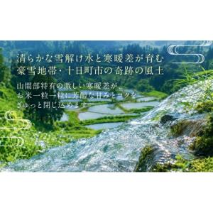 ふるさと納税 米 コシヒカリ 新潟県 十日町市...の詳細画像3