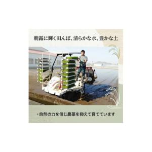 ふるさと納税 米 高知県 南国市 令和8年産 ...の詳細画像2