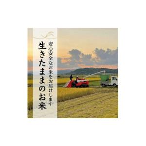 ふるさと納税 米 高知県 南国市 令和8年産 ...の詳細画像3