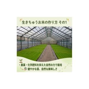 ふるさと納税 米 高知県 南国市 令和8年産 ...の詳細画像4