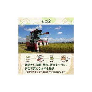 ふるさと納税 米 高知県 南国市 令和8年産 ...の詳細画像5