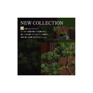 ふるさと納税 花・苗木 盆栽 三重県 名張市 ...の詳細画像3