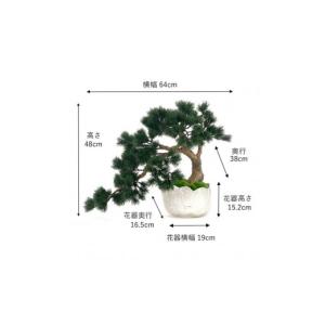 ふるさと納税 花・苗木 盆栽 三重県 名張市 ...の詳細画像4