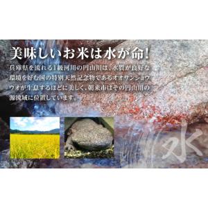 ふるさと納税 無洗米 兵庫県 朝来市 《7営業...の詳細画像3