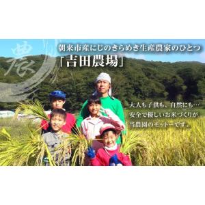 ふるさと納税 無洗米 兵庫県 朝来市 《7営業...の詳細画像4