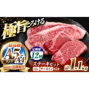 ふるさと納税 牛肉 ヒレ 長崎県 南島原市 12回定期便 長崎和牛 ステーキセット 各2枚 （ヒレ200g×2枚・サーロイン350g×2枚）希少部位 ／ ヒレ ひれ フィレ …