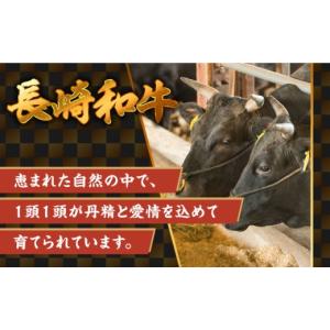 ふるさと納税 牛肉 ヒレ 長崎県 南島原市 1...の詳細画像5
