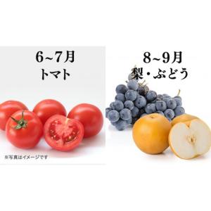 ふるさと納税 果物の詰合せ 茨城県 牛久市 品...の詳細画像3