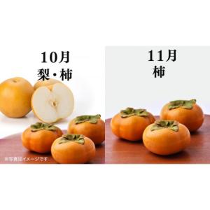 ふるさと納税 果物の詰合せ 茨城県 牛久市 品...の詳細画像4
