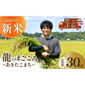 ふるさと納税 米 あきたこまち 茨城県 龍ケ崎市 あきたこまち 玄米 30kg 新米 令和8年度 農家直送 | コシヒカリ こしひかり 米 お米 おこめ こめ 白米 ごはん…