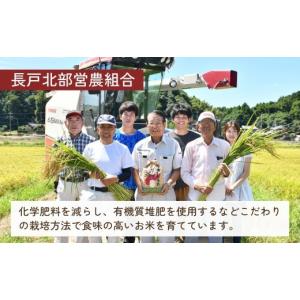 ふるさと納税 米 あきたこまち 茨城県 龍ケ崎...の詳細画像5