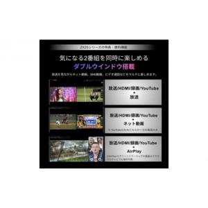 ふるさと納税 TV・オーディオ・カメラ 神奈川...の詳細画像2