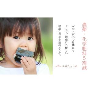 ふるさと納税 米 新潟県 津南町 令和8年産 ...の詳細画像2