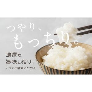 ふるさと納税 米 コシヒカリ 岐阜県 高山市 ...の詳細画像3