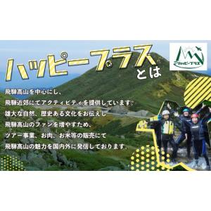 ふるさと納税 米 コシヒカリ 岐阜県 高山市 ...の詳細画像5
