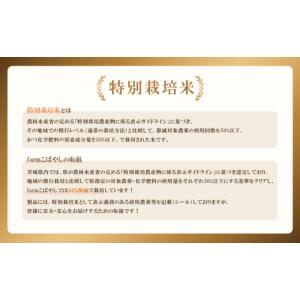 ふるさと納税 米 茨城県 下妻市 10月出荷 ...の詳細画像3