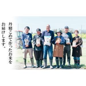 ふるさと納税 米 茨城県 下妻市 10月出荷 ...の詳細画像5