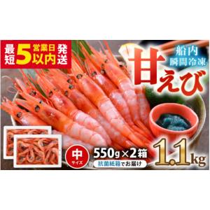 ふるさと納税 福井県 坂井市 海の上で食べる味！「共栄丸」直送☆船内瞬間冷凍