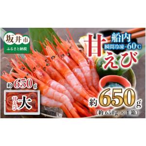 ふるさと納税 福井県 坂井市 [A-2335] 海の上で食べる味！漁船直送☆船内瞬間冷凍