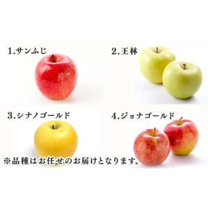 ふるさと納税 りんご 青森県 藤崎町 特に訳あ...の詳細画像2