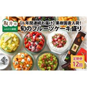 ふるさと納税 ケーキ・カステラ フルーツケーキ 福井県 坂井市 12ヶ月連続お届け 果樹園直入荷 旬のフルーツケーキ盛り スイーツ デザート 洋菓子 ケーキ ホ…