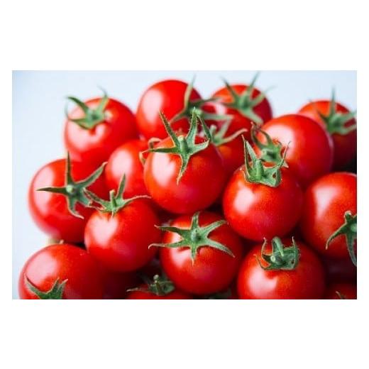 ふるさと納税 トマト ミニトマト 島根県 出雲市 出雲の國からの贈り物〜トマトを超えた超トマト１kg