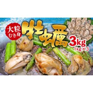 ふるさと納税 千葉県 長生村 C01-H31 大粒むき身牡蠣 3kg（約20〜30粒×3袋）｜ふるさとチョイス