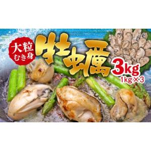 ふるさと納税 牡蠣 生牡蠣 千葉県 長生村 C01-H31 大粒むき身牡蠣 3kg（約20〜30粒×3袋）