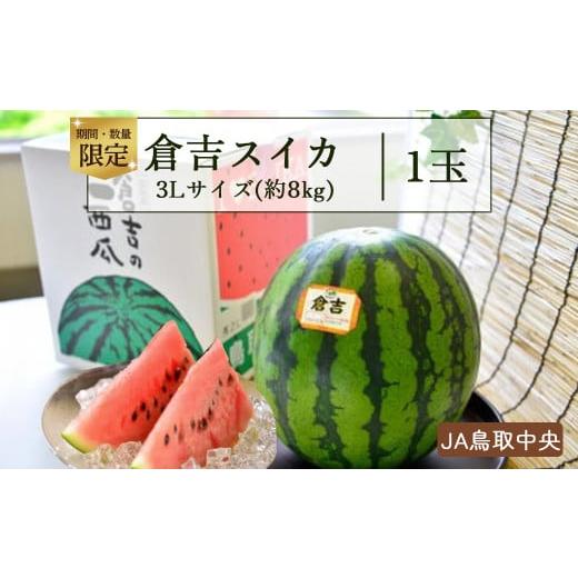 ふるさと納税 鳥取県 倉吉市 倉吉スイカ1玉 （JA鳥取中央）３L すいか 鳥取 大玉 果物 フルー...