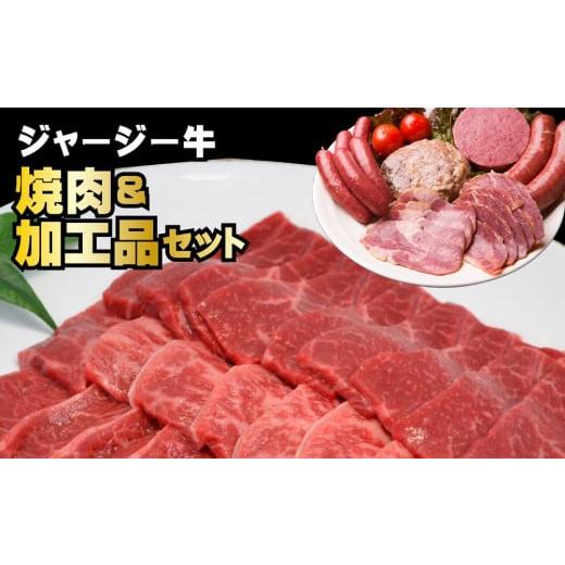 ふるさと納税 北海道 新得町 J-2502 ジャージー牛 焼肉＆加工品セット