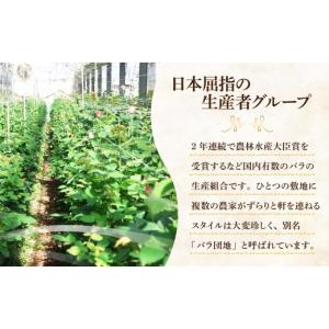 ふるさと納税 雑貨・日用品 花 群馬県 前橋市...の詳細画像3