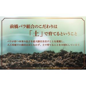 ふるさと納税 雑貨・日用品 花 群馬県 前橋市...の詳細画像4