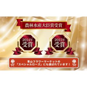 ふるさと納税 雑貨・日用品 花 群馬県 前橋市...の詳細画像5
