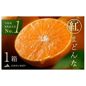 ふるさと納税 果物類 みかん 愛媛県 今治市 ...の詳細画像1