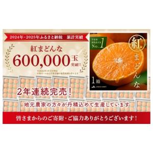 ふるさと納税 果物類 みかん 愛媛県 今治市 ...の詳細画像2